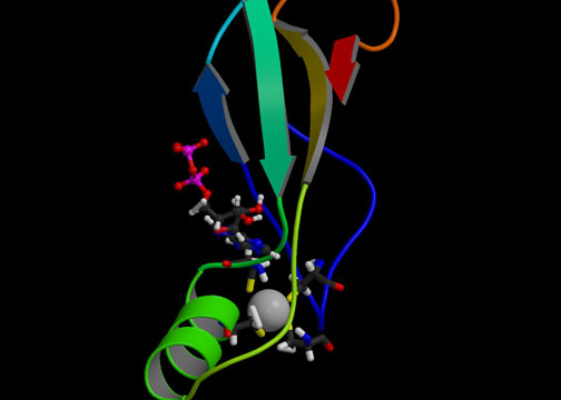 Visualization of protein structure