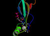 Artificial nucleotide binding protein from molecular dynamics simulation.